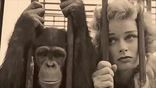 Vintage Taboo&comma; Pussy & Pooch