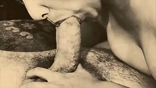 Dark Lantern Entertainment endowments Vintage Disallow Family Fantasy