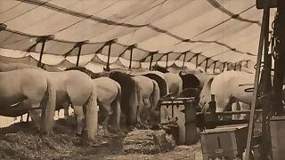 Inky Lantern Entertainment Largess 'The Dragonfly' Scene 3 Pt&period;1